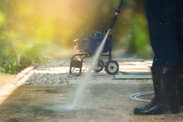 Animal Enclosure Cleaning in Trucksville, PA